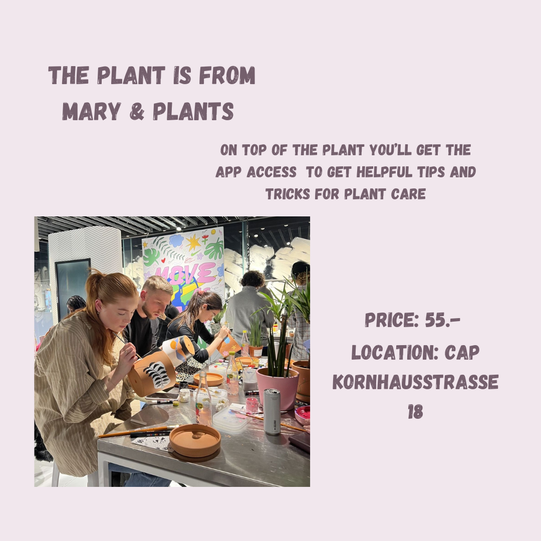 Pot painting + plant