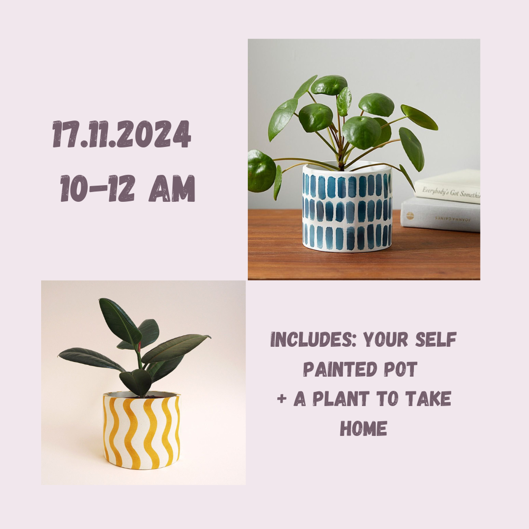 Pot painting + plant