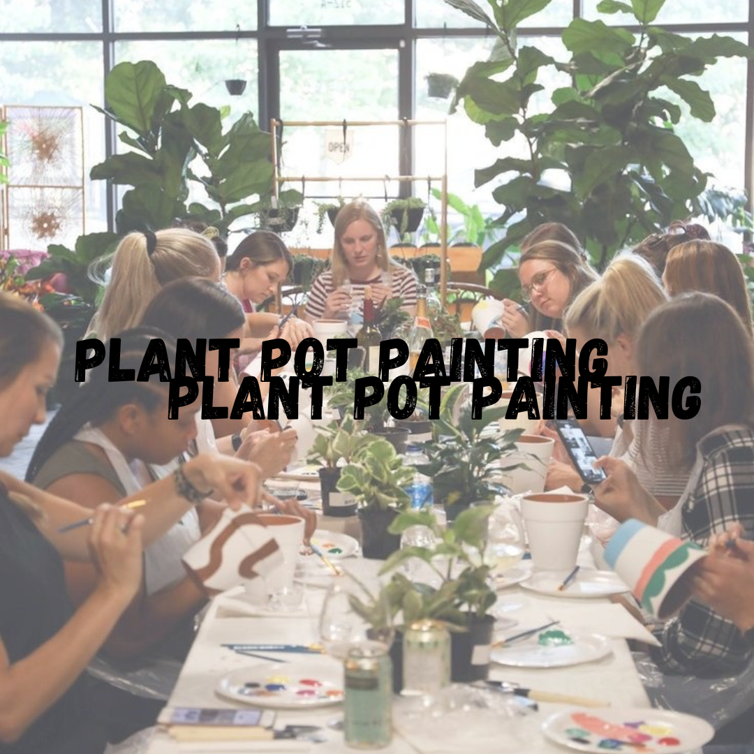 Pot painting + plant